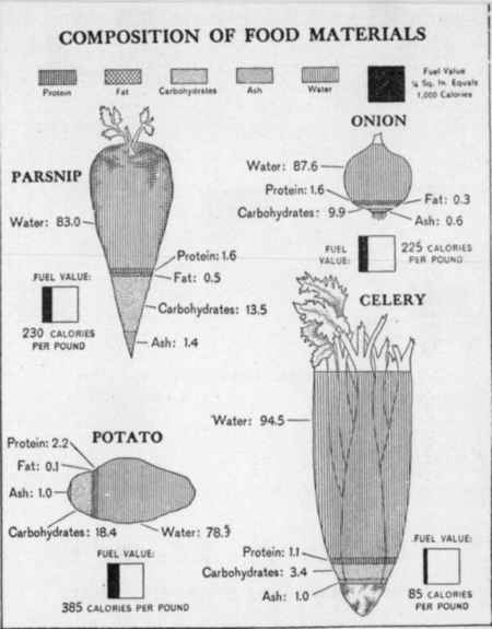 [Illustration: Composition of food materials]